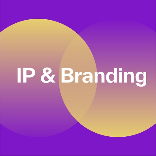 Why IP & Branding Go Together in Protecting SDGs