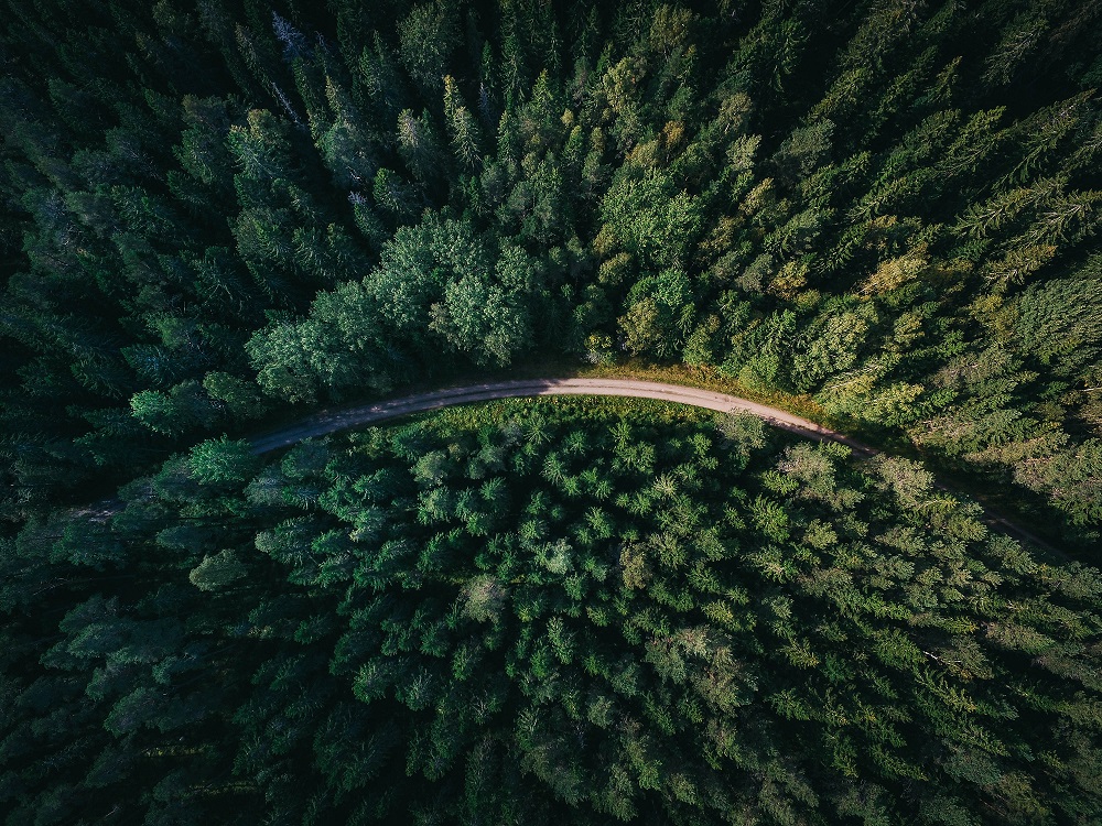 Sustainable Private Equity in Asia: Through the Lenses of Compliance, Strategy, and Branding