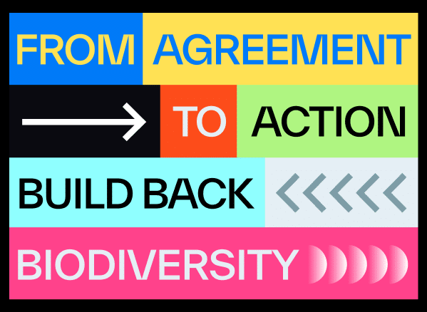 Aligning Brands with Global Frameworks: A Holistic Approach to Integrating Biodiversity into Decision Making