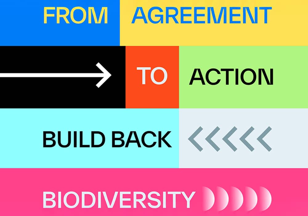 Aligning Brands with Global Frameworks: A Holistic Approach to Integrating Biodiversity into Decision Making